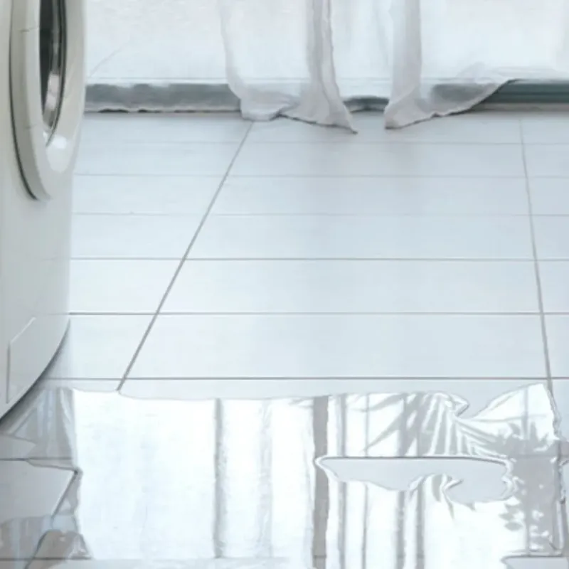 Appliance Leak Cleanup in Cass County, TX
