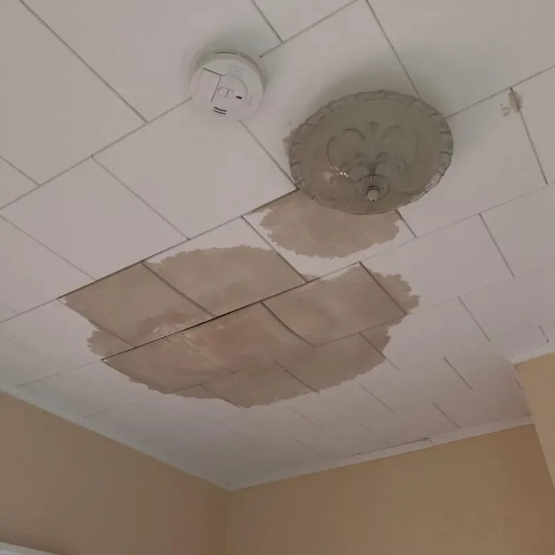 Ceiling Water Damage Repair in Cass County, TX