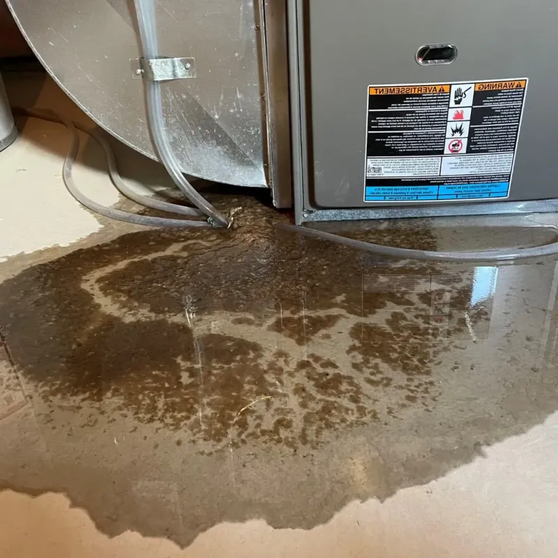 Pipe Burst and Leak Restoration in Cass County, TX