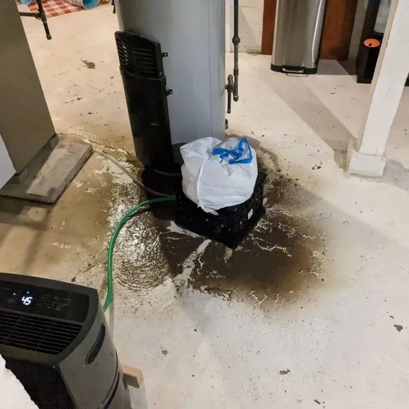 Sewage Backup Cleanup Service in Cass County, TX